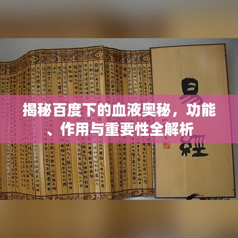 揭秘百度下的血液奥秘，功能、作用与重要性全解析