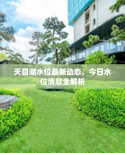天目湖水位最新动态，今日水位消息全解析