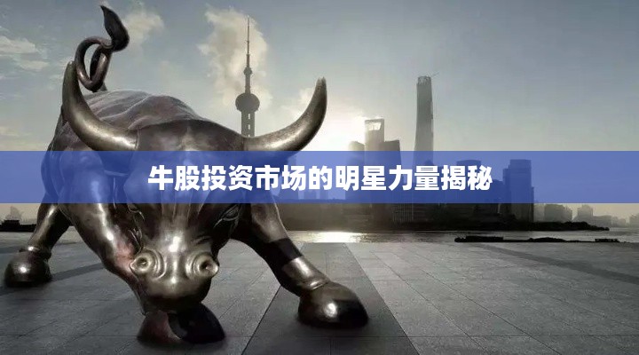 牛股投资市场的明星力量揭秘