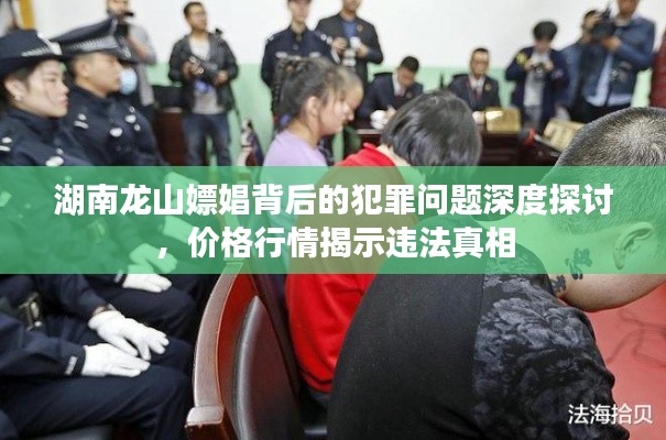 湖南龙山嫖娼背后的犯罪问题深度探讨，价格行情揭示违法真相