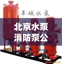 北京水泵消防泵公司排名大揭秘，权威榜单，不容错过！