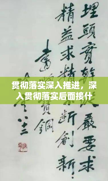 贯彻落实深入推进，深入贯彻落实后面接什么词 