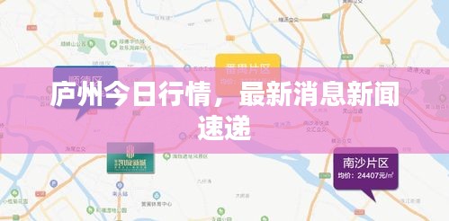 庐州今日行情，最新消息新闻速递