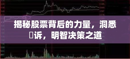 揭秘股票背后的力量，洞悉腃诉，明智决策之道