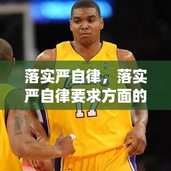 落实严自律，落实严自律要求方面的表现 