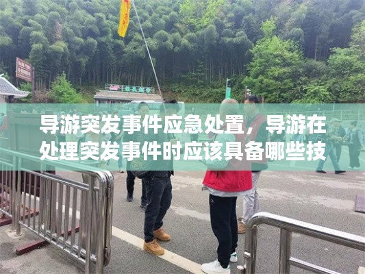 导游突发事件应急处置，导游在处理突发事件时应该具备哪些技能 