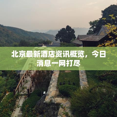 北京最新酒店资讯概览，今日消息一网打尽