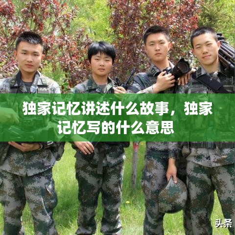 独家记忆讲述什么故事，独家记忆写的什么意思 