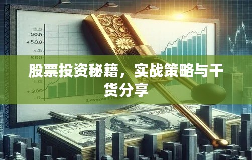 股票投资秘籍，实战策略与干货分享
