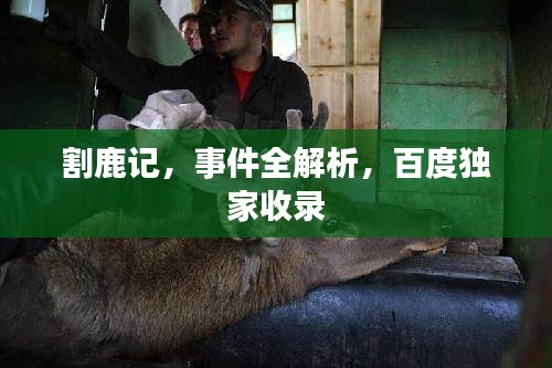 割鹿记，事件全解析，百度独家收录