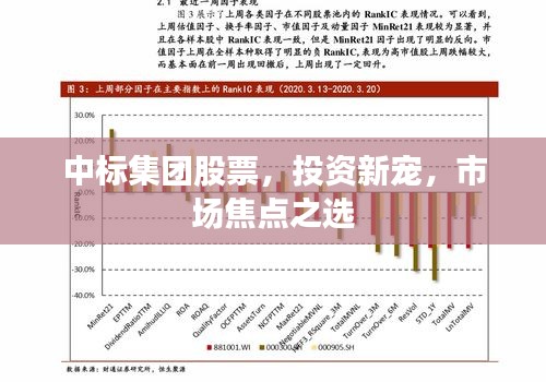中标集团股票，投资新宠，市场焦点之选