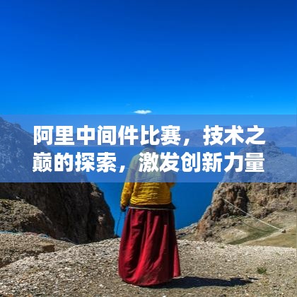 阿里中间件比赛，技术之巅的探索，激发创新力量