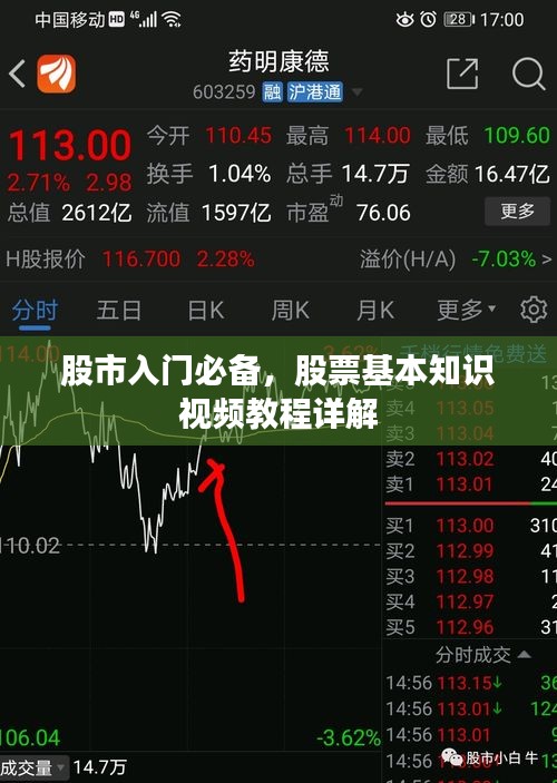 股市入门必备，股票基本知识视频教程详解