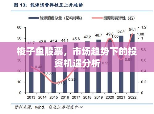 梭子鱼股票，市场趋势下的投资机遇分析