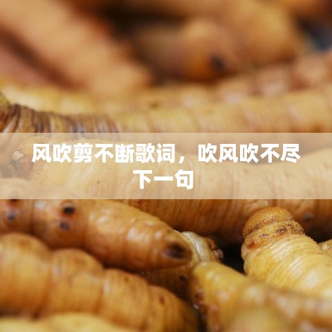 风吹剪不断歌词，吹风吹不尽下一句 