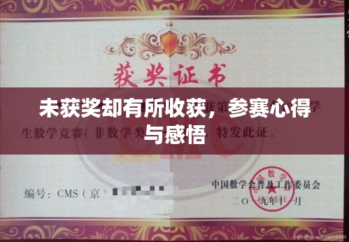 未获奖却有所收获，参赛心得与感悟