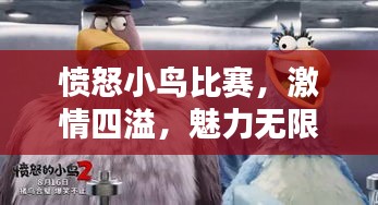 愤怒小鸟比赛，激情四溢，魅力无限！