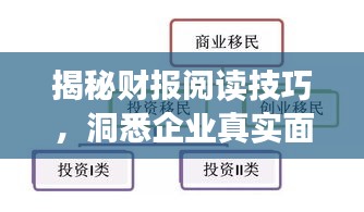 揭秘财报阅读技巧，洞悉企业真实面貌的关键步骤