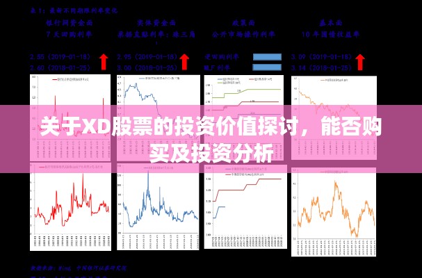 关于XD股票的投资价值探讨，能否购买及投资分析