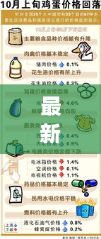 最新鸡蛋价格行情概览，图片表分析助你洞悉市场动态