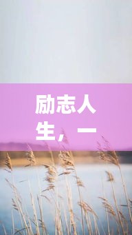 励志人生，一碗汤的温暖拥抱，正能量启航之旅