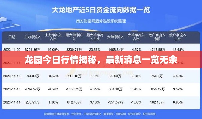 龙园今日行情揭秘，最新消息一览无余