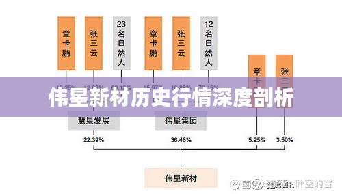 伟星新材历史行情深度剖析