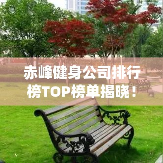 赤峰健身公司排行榜TOP榜单揭晓！