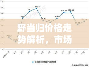 野当归价格走势解析，市场趋势及影响因素探讨