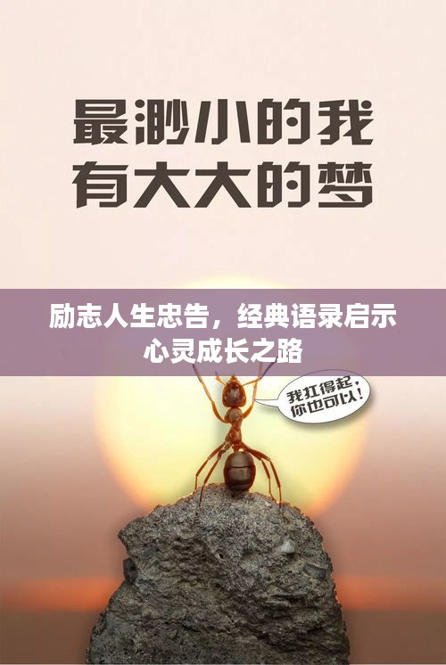 励志人生忠告，经典语录启示心灵成长之路