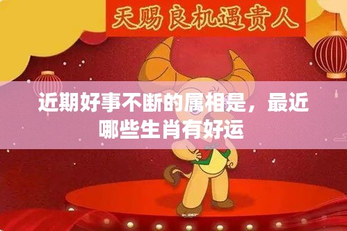 关于我们 第70页