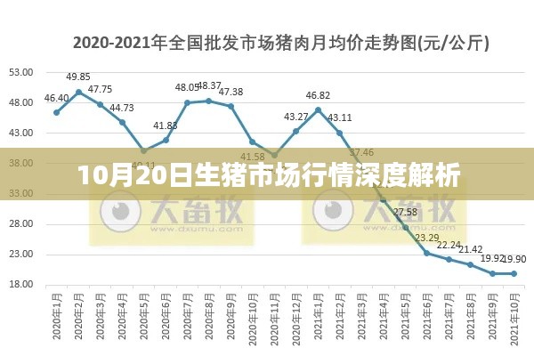 10月20日生猪市场行情深度解析