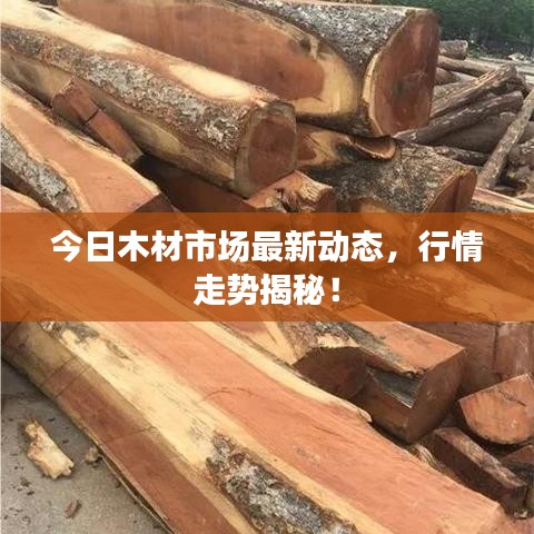 避繁就简 第2页