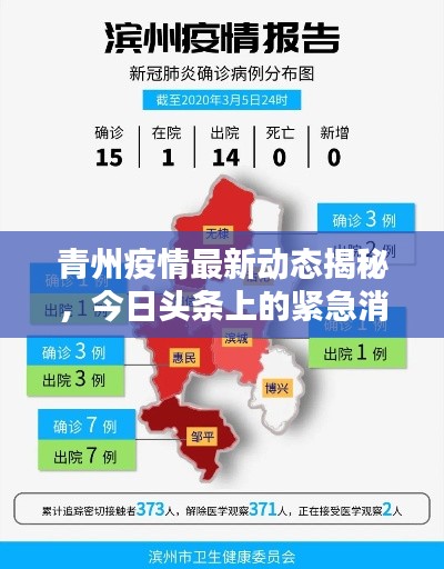 青州疫情最新动态揭秘，今日头条上的紧急消息！