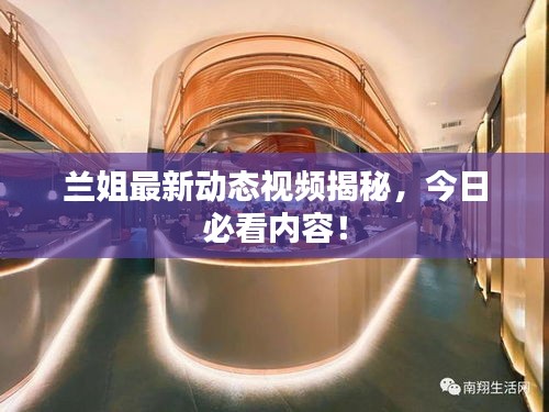 合作加盟 第53页