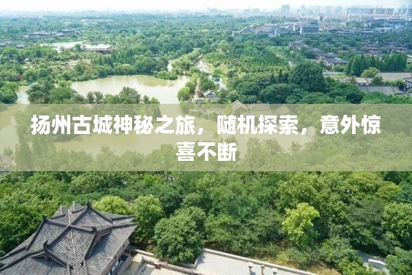 扬州古城神秘之旅，随机探索，意外惊喜不断