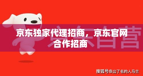 京东独家代理招商，京东官网合作招商 