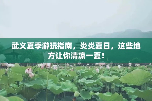 武义夏季游玩指南，炎炎夏日，这些地方让你清凉一夏！