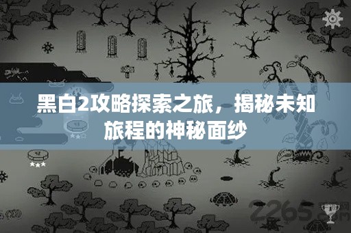 黑白2攻略探索之旅，揭秘未知旅程的神秘面纱