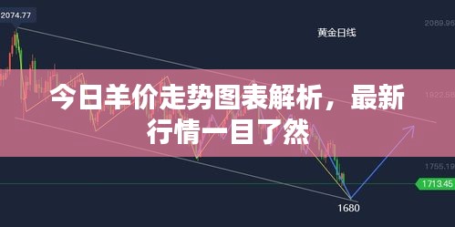 今日羊价走势图表解析，最新行情一目了然