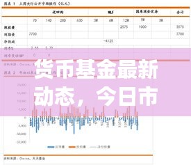 货币基金最新动态，今日市场消息汇总及投资策略调整