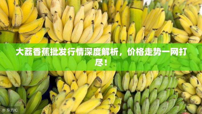 大荔香蕉批发行情深度解析，价格走势一网打尽！