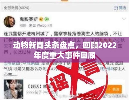 动物新闻头条盘点，回顾2022年度重大事件回顾