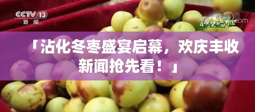 「沾化冬枣盛宴启幕，欢庆丰收新闻抢先看！」