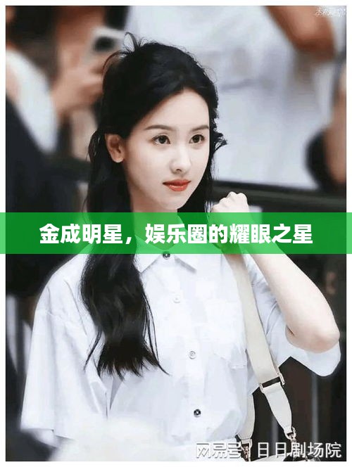 金成明星，娱乐圈的耀眼之星