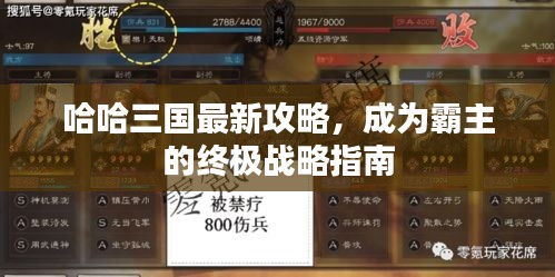 哈哈三国最新攻略，成为霸主的终极战略指南