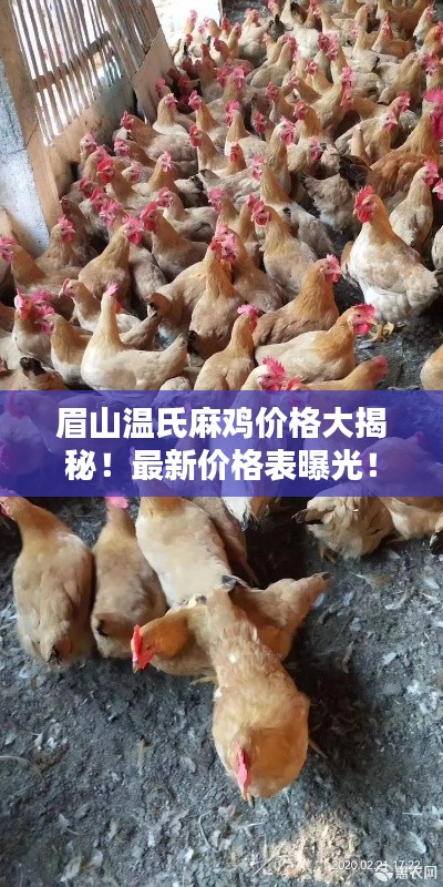 眉山温氏麻鸡价格大揭秘！最新价格表曝光！