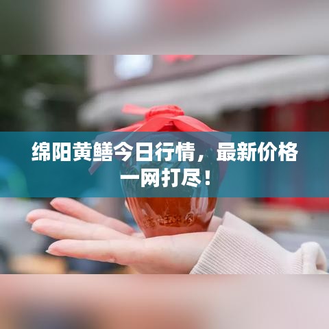 绵阳黄鳝今日行情，最新价格一网打尽！