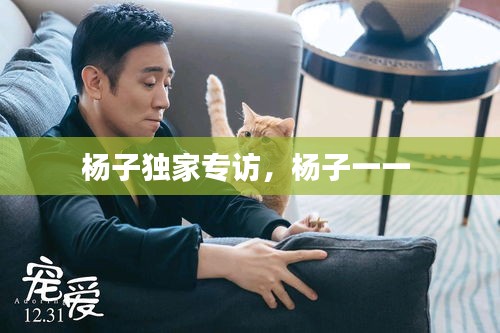 杨子独家专访，杨子一一 