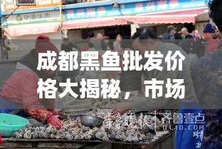成都黑鱼批发价格大揭秘，市场行情一网打尽